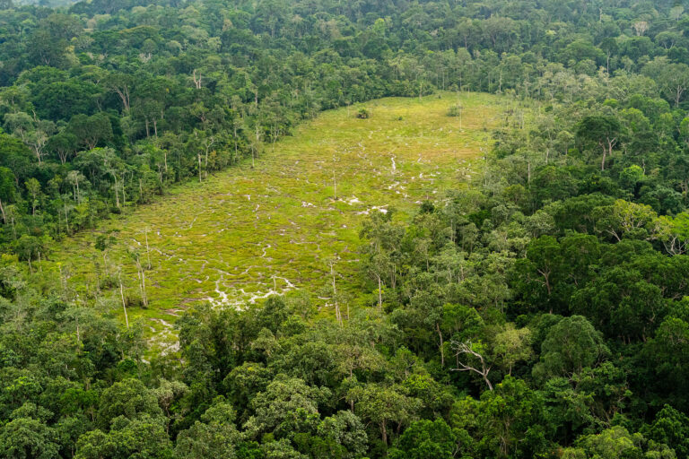 mysterious marshy bai from plane 09798 1