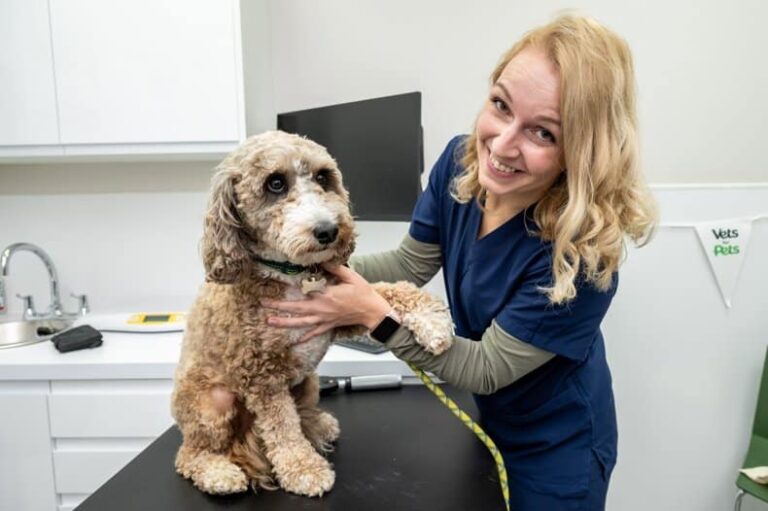 swns vets for pets 015
