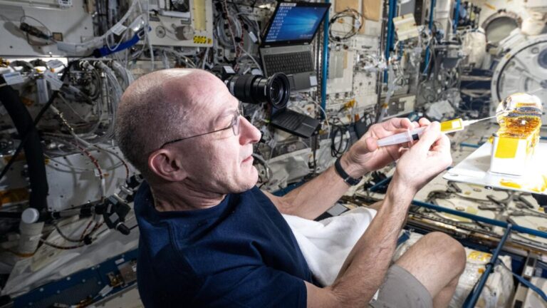 iss072e742488large 1152x648